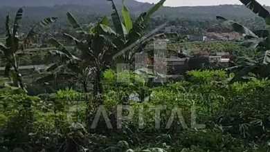 For Sale Tanah Eksklusif di Padalarang, Bandung, LT 26171m²