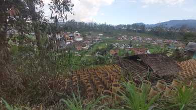 Jual Tanah Terjangkau di Area Ciwidey, Bandung