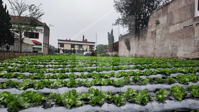 Dijual Kavling 1045 m2 Area Komplek Mewah Lembang