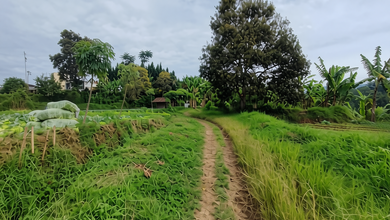 Tanah Ideal untuk Hunian di Setiabudi, Bandung, Luas 1457m²