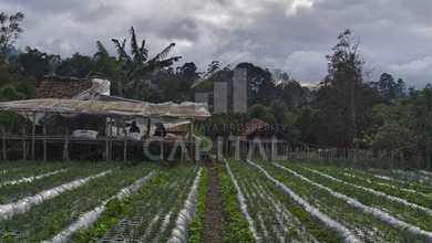 For Sale Tanah Eksklusif di Lembang, Bandung Barat, LT 2075m²