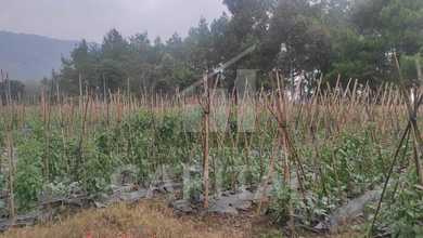 For Sale Tanah Premium di Lembang, Bandung Barat, LT 4673m²