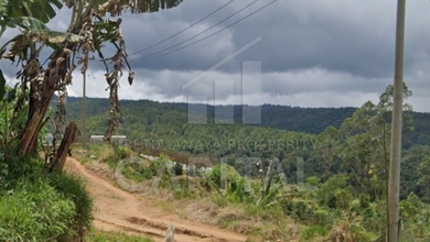 Investasi Tanah Murah di Cianjur, Cianjur, Luas 5400m²