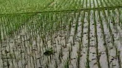 Tanah Elit Dijual di Soreang, Bandung, Harga 25 Miliar