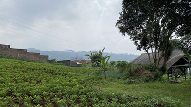 Dijual Kavling 4545 m2 Area Komplek Elit Padasuka