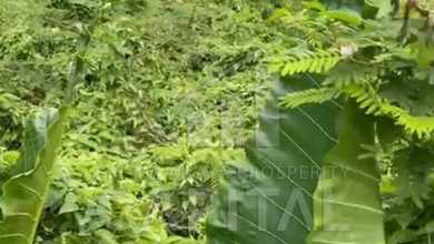 Jual Murah Tanah 537 m2 Tempat Strategis