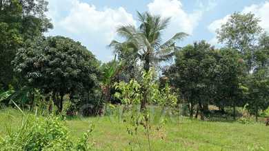 Dijual Tanah Eksklusif di Subang, Subang, LT 50000m²