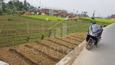 Tanah Favorit di Area Ciwidey, Bandung, LT 4256m²