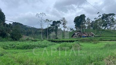For Sale Tanah Premium di Ciwidey, Bandung, LT 13037m²