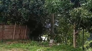 Jual Tanah di Lokasi Premium Lembang, Bandung, Harga 2,1 Miliar