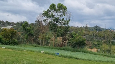 Kavling Prestisius Dijual di Lembang, Bandung, Harga 6 Miliar