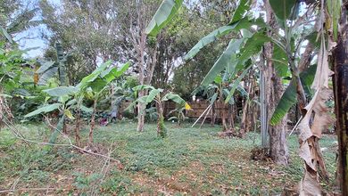 Promo Tanah Strategis di Cimahi Utara, Cimahi, Harga 587 Juta