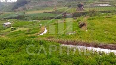 For Sale Tanah Eksklusif di Ciwidey, Bandung, LT 3418m²