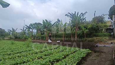 Tanah Favorit di Area Cisarua, Bandung Barat, LT 763m²