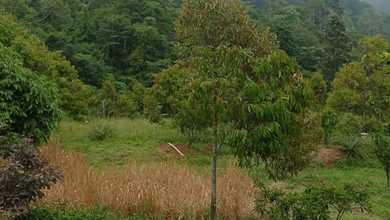 For Sale Tanah Eksklusif di Subang, Subang, LT 800000m²