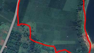 Dijual Tanah Premium di Subang, Subang, LT 45000m²