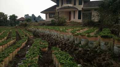 DIJUAL VILA 2 LANTAI 4BR DAERAH CIWIDEY BESERTA KEBUN STRAWBERRY