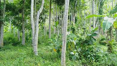 Jual Cepat Tanah Strategis di Cihampelas, Bandung Barat, LT 2265m²