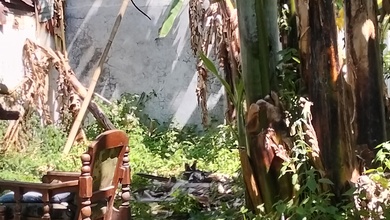 Kavling Prestisius Dijual di Bandung Kota, Bandung, Harga 20 Miliar