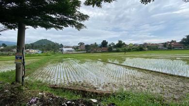 Jual Terjangkau Tanah 2450 m2 Area Strategis