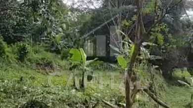 Tanah Elit Dijual di Padalarang, Bandung Barat, Harga 13 Miliar