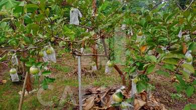 Jual Murah Tanah 13000 m2 Tempat Strategis