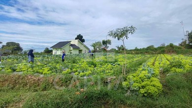 Jual Tanah di Lokasi Premium Setiabudi, Bandung, Harga 874 Juta