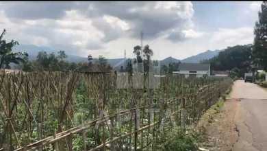 Tanah Prospektif di Area Lembang, Bandung Barat, LT 1900m²