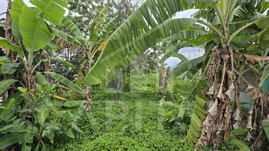 Tanah Elit Dijual di Soreang, Bandung, Harga 15,2 Miliar