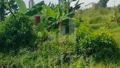 Investasi Tanah Murah di Ngamprah, Bandung Barat, Luas 60000m²