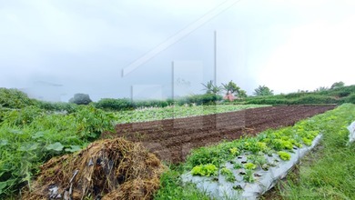 Tanah Prospektif di Area Setiabudi, Bandung, LT 674m²