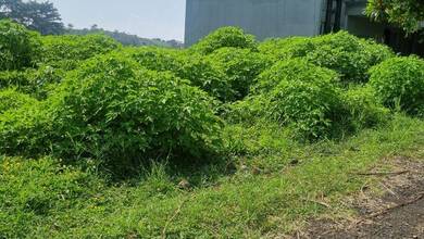 Jual Cepat Tanah Prospektif di Dago, Bandung, LT 302m²